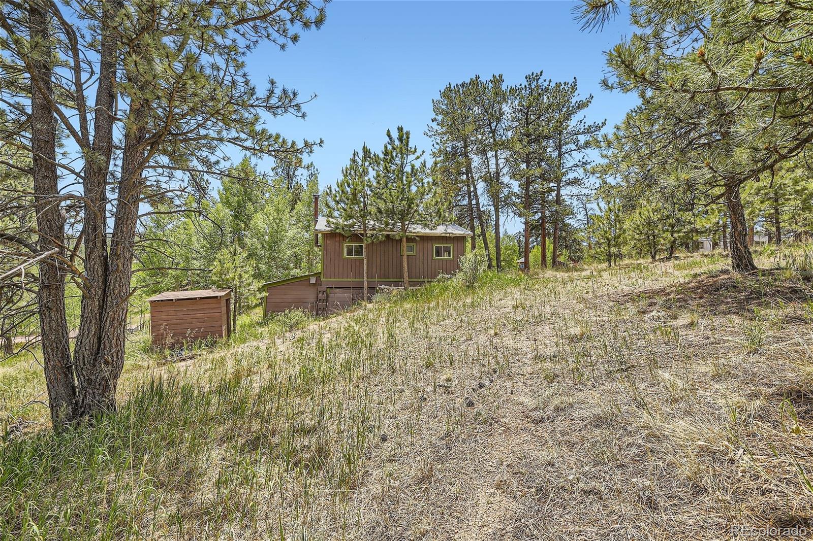 539 Neal Road Bailey, CO 80421 - Photo 23 of 26 a backyard of a house with lots of green space