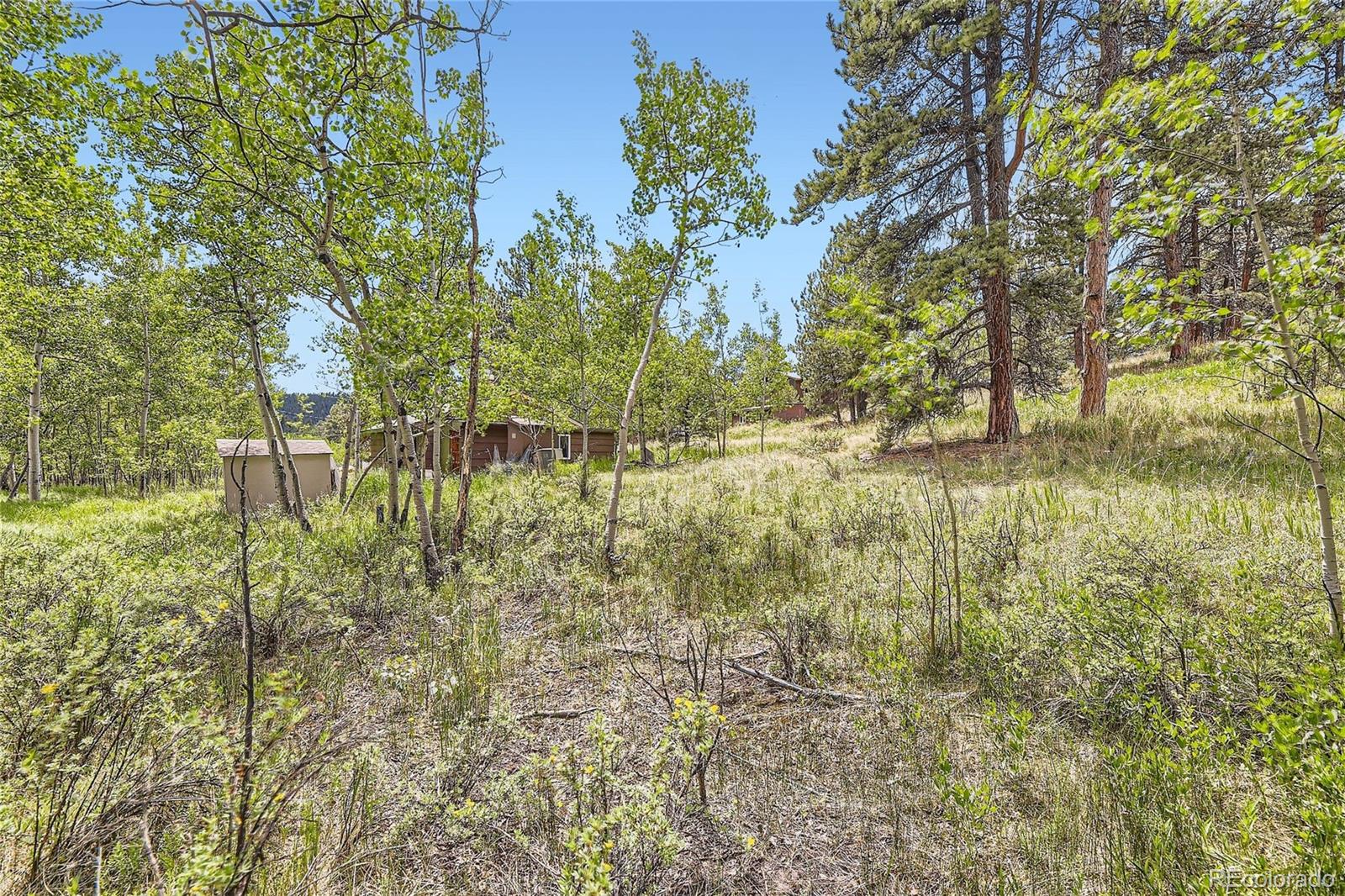 539 Neal Road Bailey, CO 80421 - Photo 25 of 26