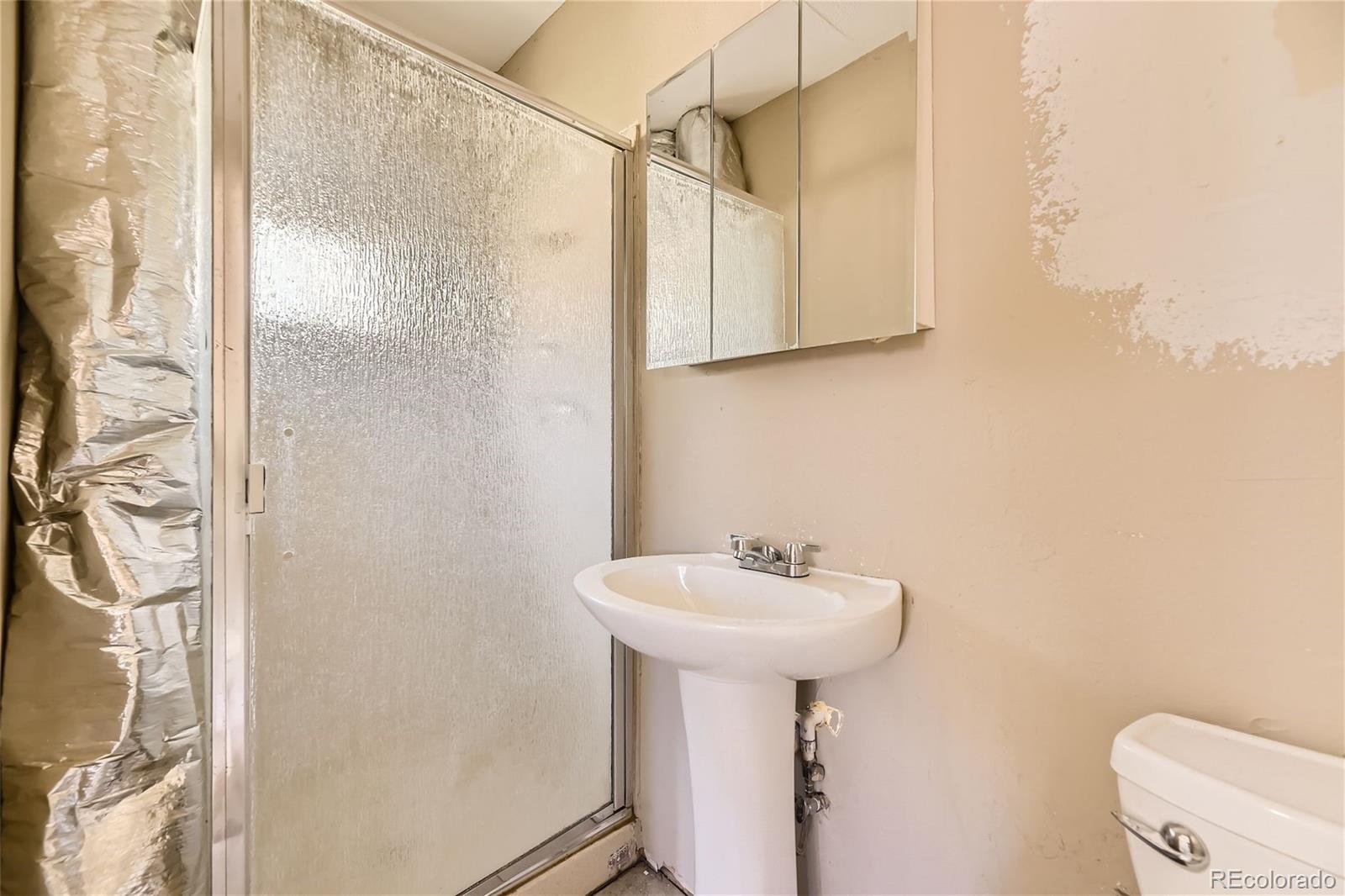 539 Neal Road Bailey, CO 80421 - Photo 10 of 26 a bathroom with a sink a mirror and a shower