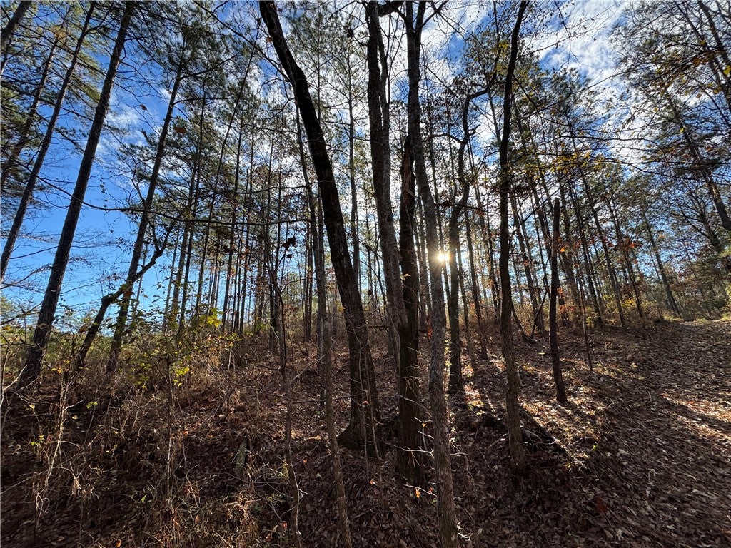 0 Farmville Road Camp Hill, AL 36850 - Photo 20 of 35 Gallery Image 20