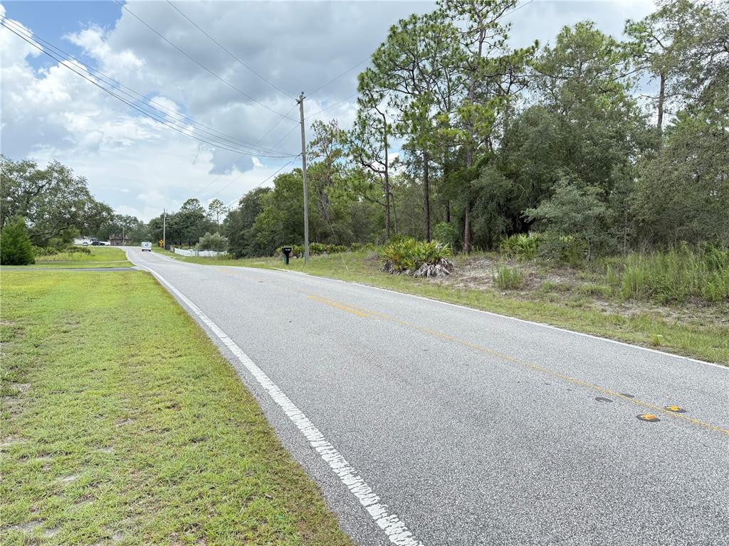 0 Fulton Avenue Weeki Wachee, FL 34613 - Photo 3 of 7 Gallery Image 3