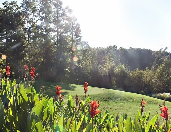 Lot 1687 Point Road Westminster, SC 29693 - Photo 9 of 18