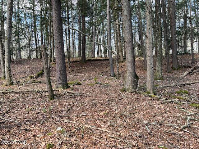 241 Lcpl Jacob Beisel Road Lackawaxen, PA 18435 - Photo 32 of 78 Gently rolling