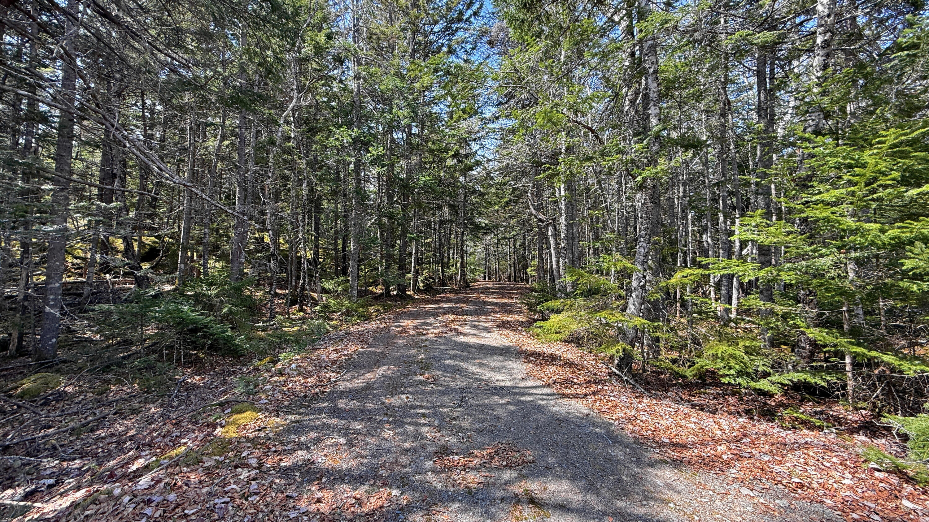 185 Coffins Neck Road Lubec, ME 04652 - Photo 3 of 11 185 Coffins Neck Road