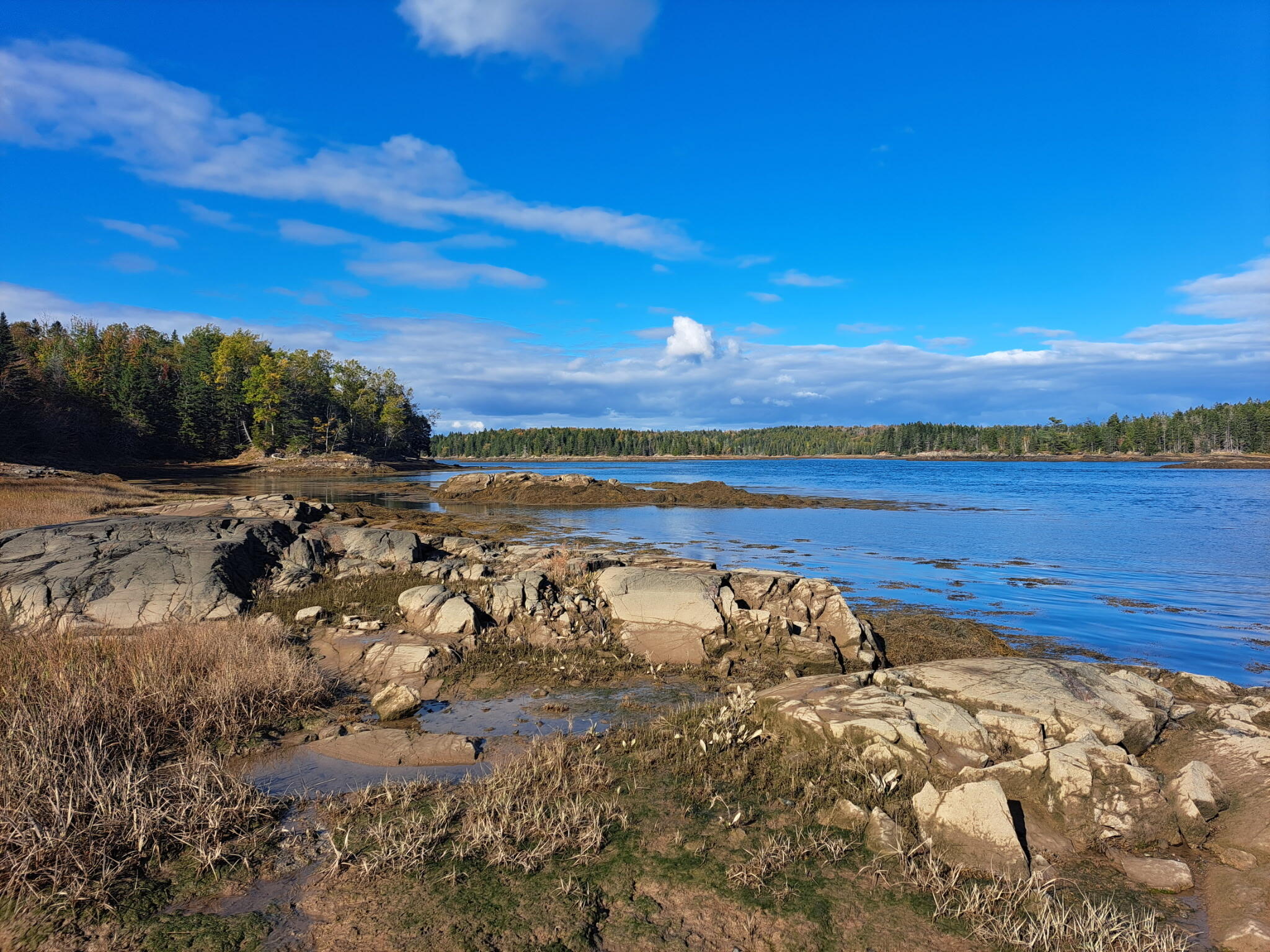185 Coffins Neck Road Lubec, ME 04652 - Photo 6 of 11 20231014_144143