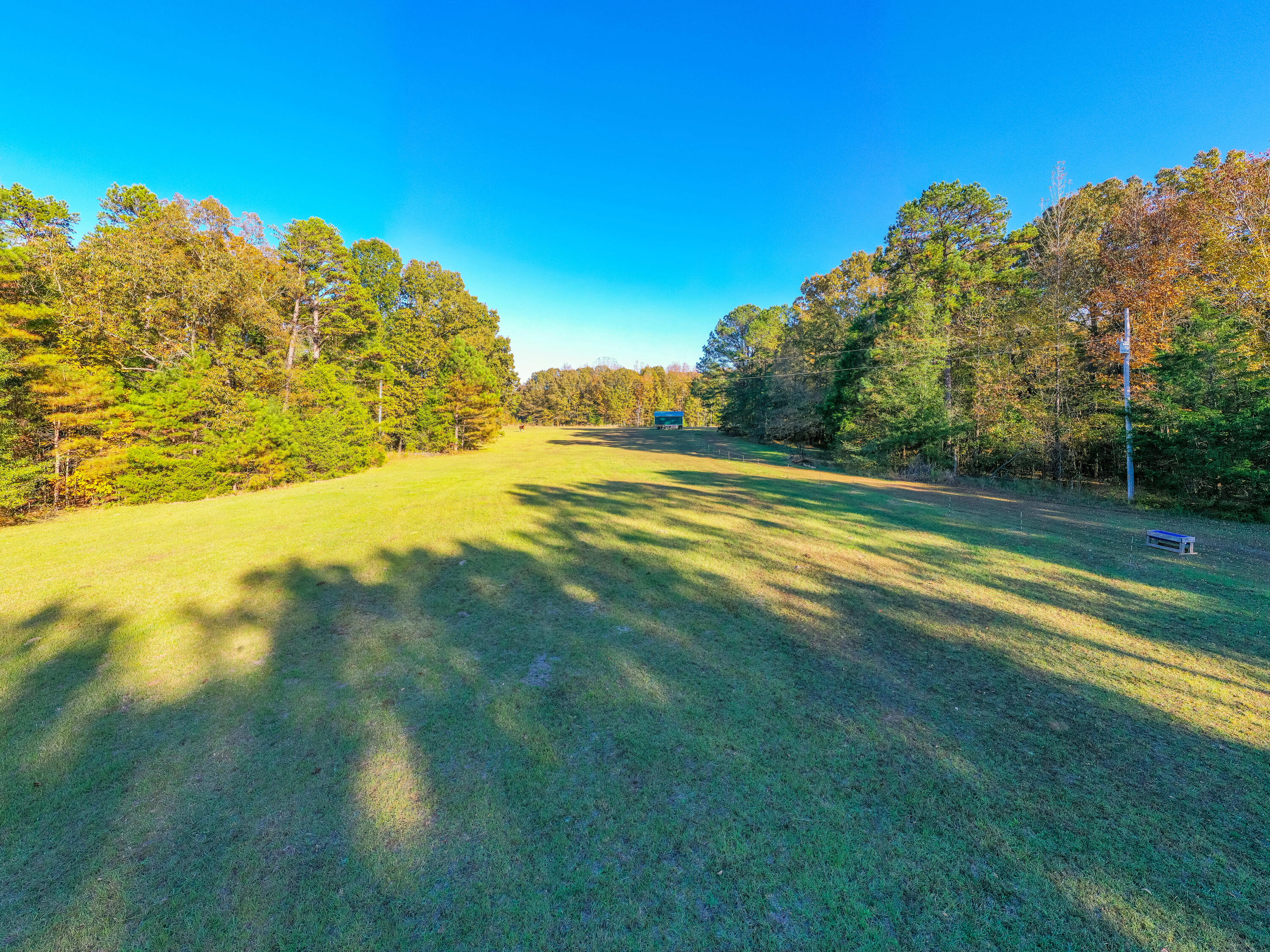 9371 County Road 701 Ripley, MS 38663 - Photo 24 of 33 Gallery Image 24
