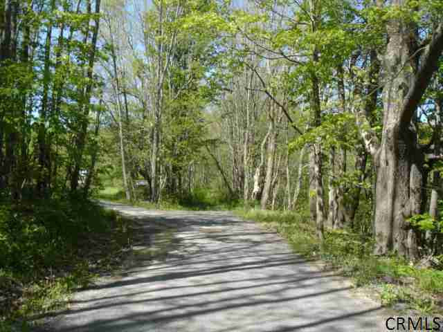 0 Davis Road Summit, NY 12175 - Photo 1 of 1 Photo 1