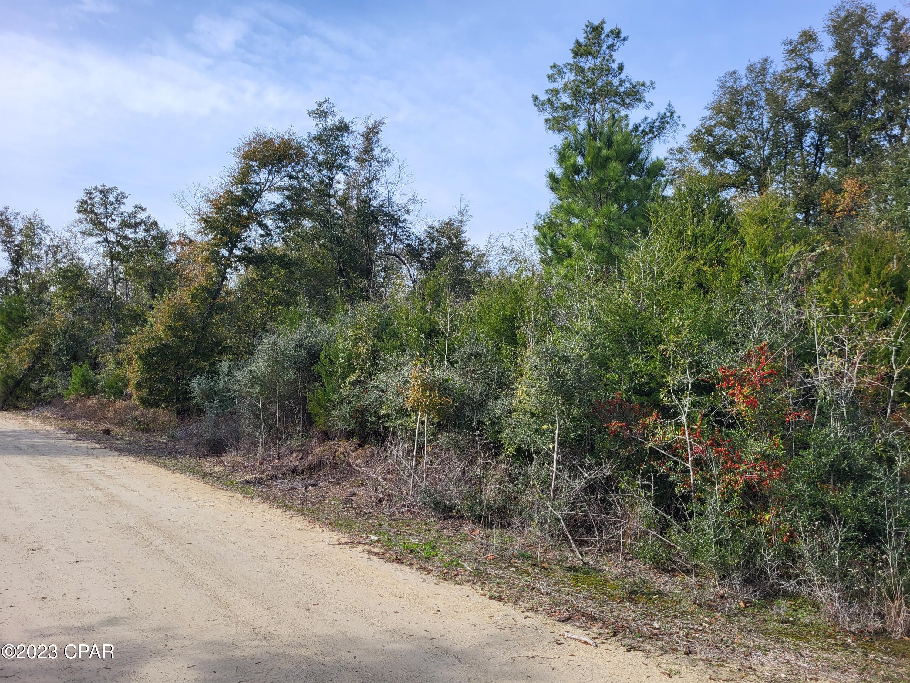 0 Northeast Morgan Tucker Road, Unit LOT 1 Altha, FL 32421 - Photo 15 of 27