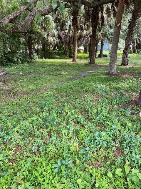 1908 Virginia Avenue Eustis, FL 32726 - Photo 1 of 1