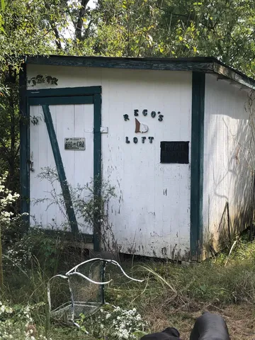 a house with trees in the background