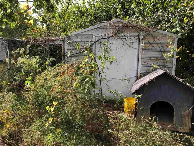 a backyard of a house with lots of green space