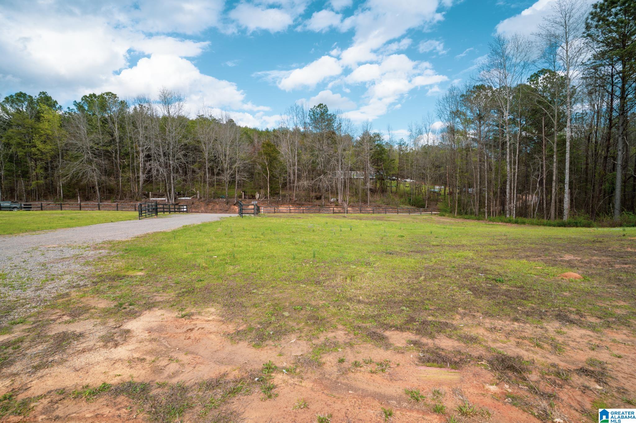 17571 Groundhog Road Adger, AL 35006 - Photo 88 of 94