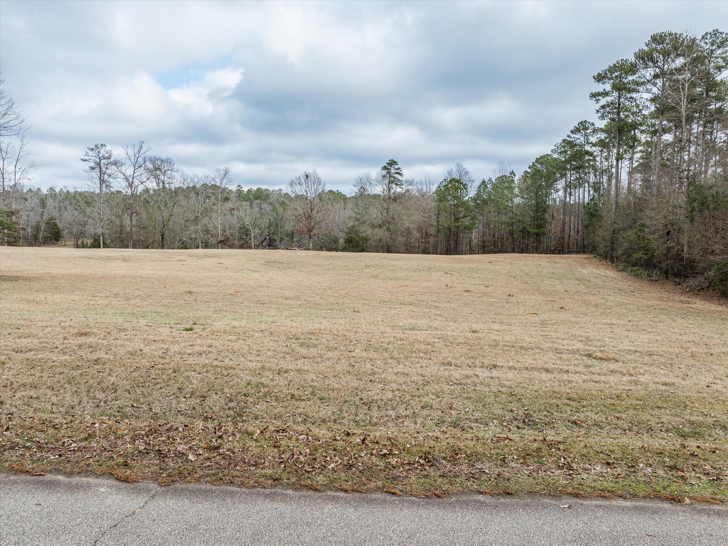 3139 Marshall Road Appling, GA 30802 - Photo 3 of 22 01-3139marshall-1