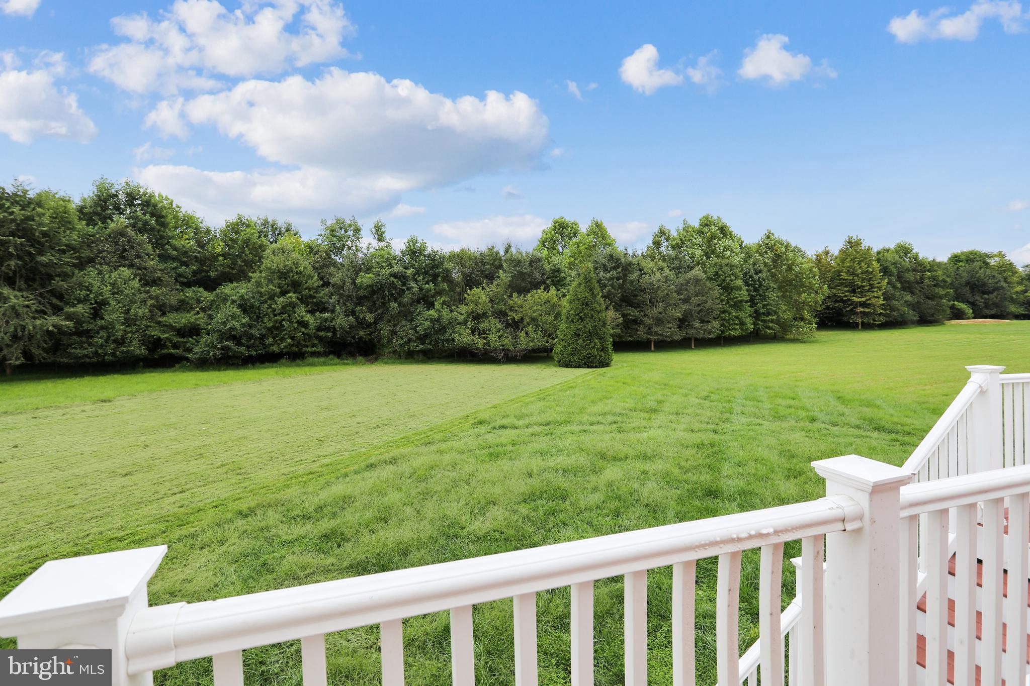 22401 Goshen School Road Laytonsville, MD 20882 - Photo 109 of 122 View from back