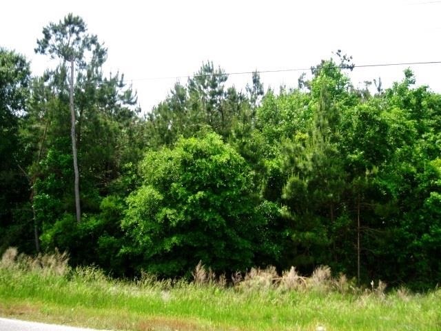 62-acre Mcdowell Shortcut Road Murrells Inlet, SC 29576 - Photo 1 of 7 Gallery Image 1