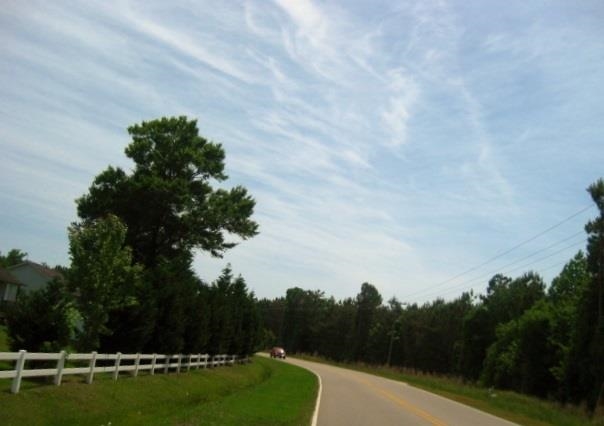 62-acre Mcdowell Shortcut Road Murrells Inlet, SC 29576 - Photo 3 of 7 Gallery Image 3