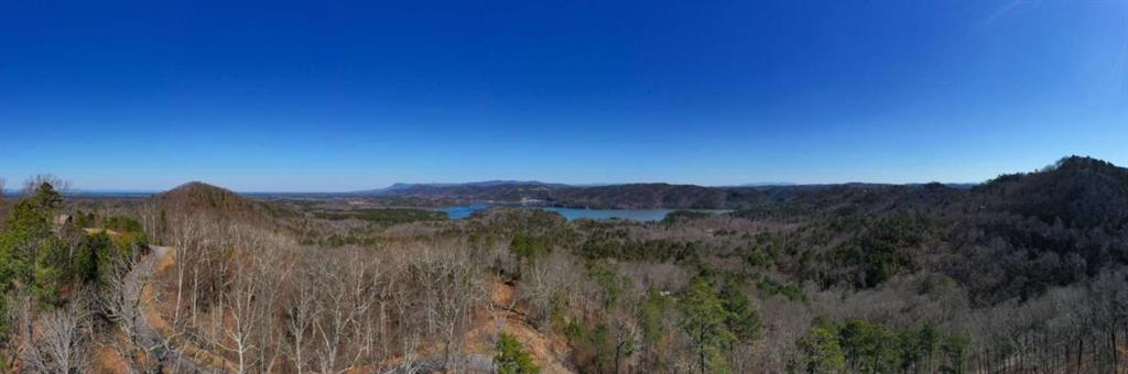 278 Carters Overlook Drive Ranger, GA 30734 - Photo 1 of 26 a view of a town with mountains in the background