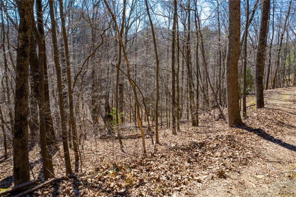 278 Carters Overlook Drive Ranger, GA 30734 - Photo 13 of 26