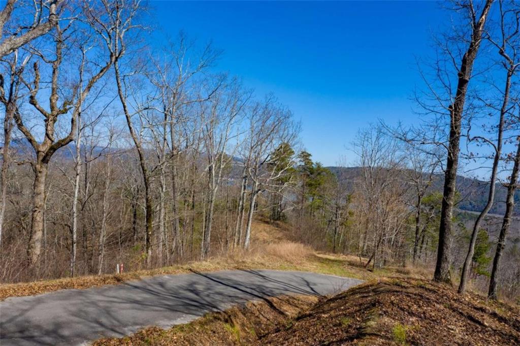 278 Carters Overlook Drive Ranger, GA 30734 - Photo 16 of 26