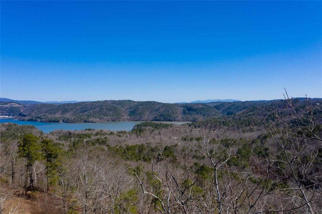 278 Carters Overlook Drive Ranger, GA 30734 - Photo 2 of 26 a view of mountain and a forest