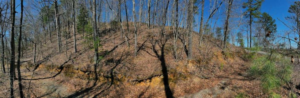 278 Carters Overlook Drive Ranger, GA 30734 - Photo 25 of 26