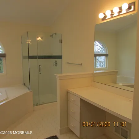 a bathroom with a sink a shower and a mirror