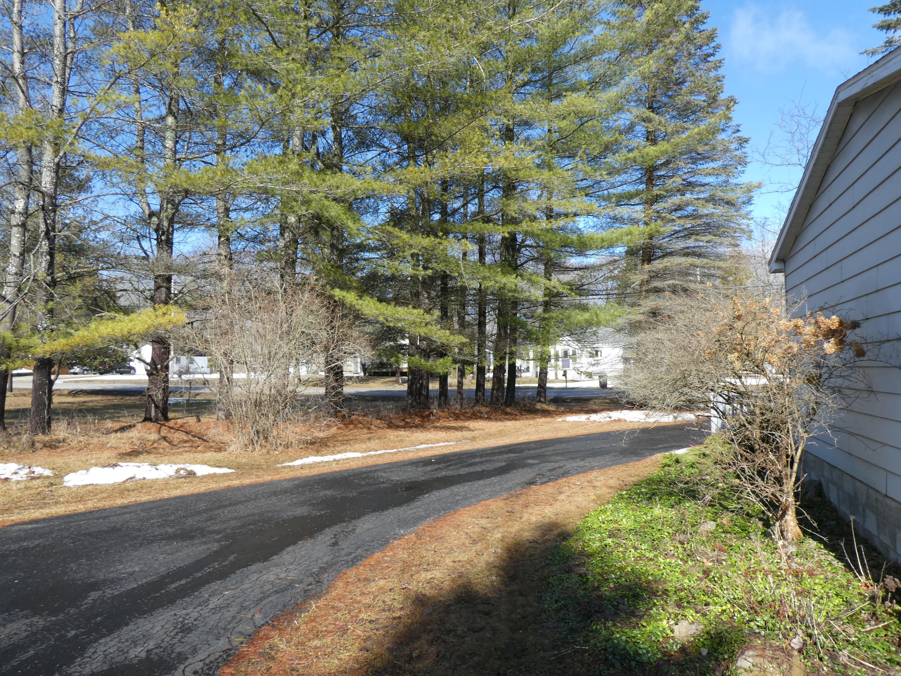 2475 Werth Road Alpena, MI 49707 - Photo 3 of 17 Gallery Image 3