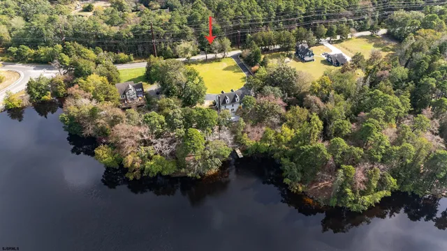 an aerial view of a house with swimming pool and large trees
