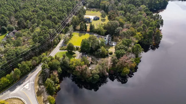 a view of a swimming pool with plants