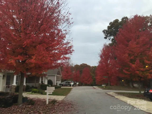 a view of a street with a building in the background