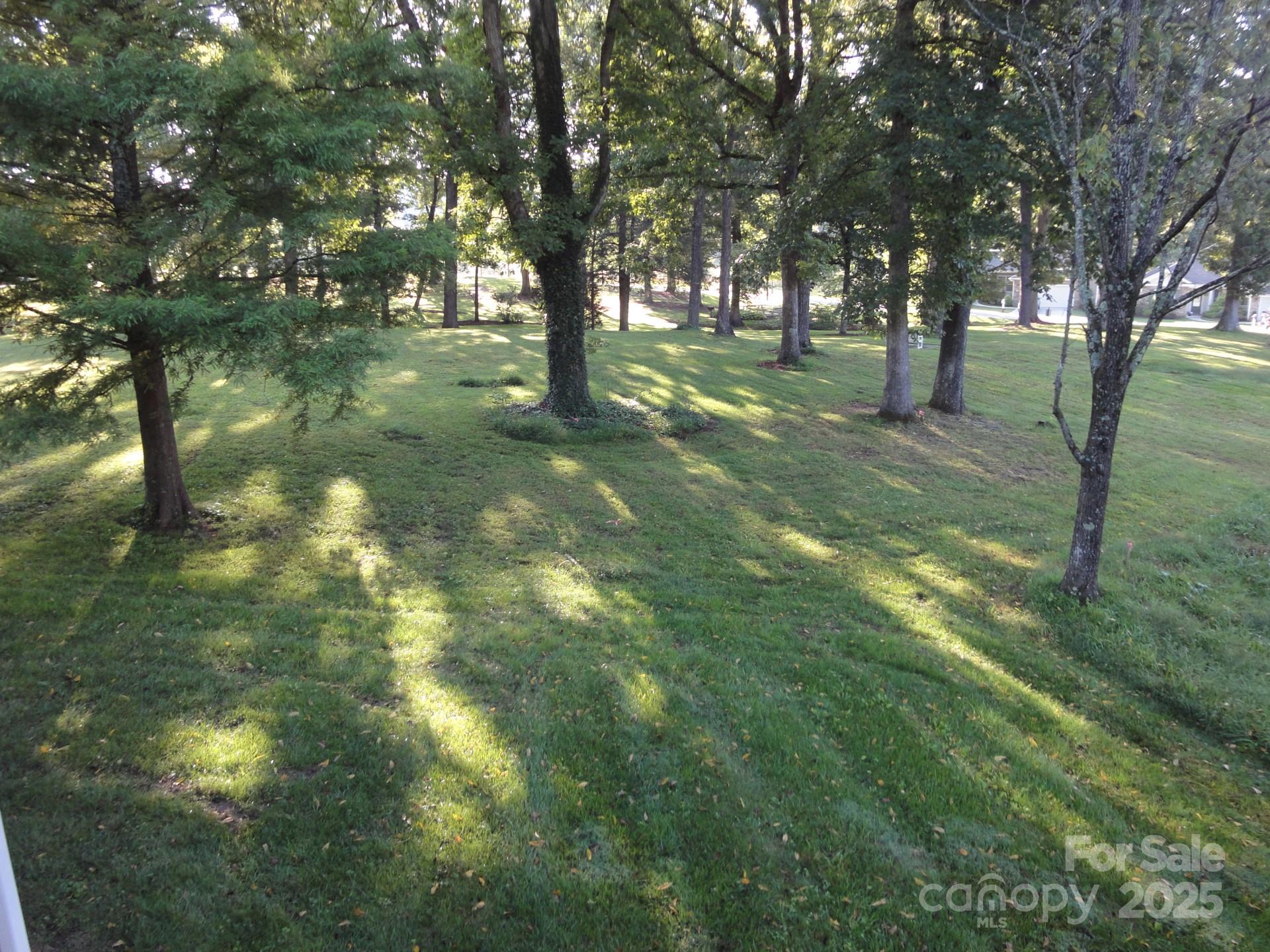 18 Eagle Pointe Way Flat Rock, NC 28731 - Photo 8 of 33 a view of yard with trees