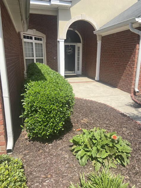 310 Barnsley Drive Evans, GA 30809 - Photo 4 of 53 entrance