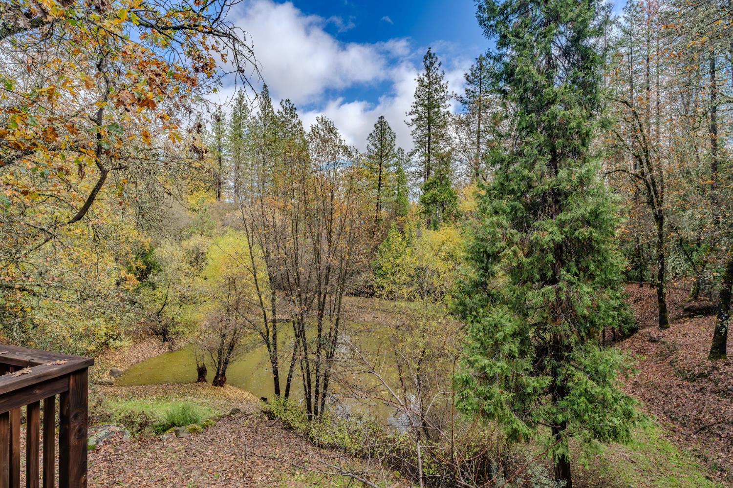 23070 Lawrence Road Fiddletown, CA 95629 - Photo 22 of 61
