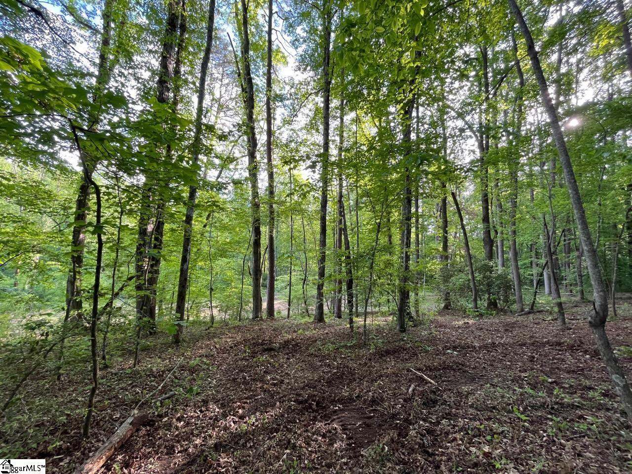 100 Stamey Valley Road Travelers Rest, SC 29690 - Photo 12 of 24