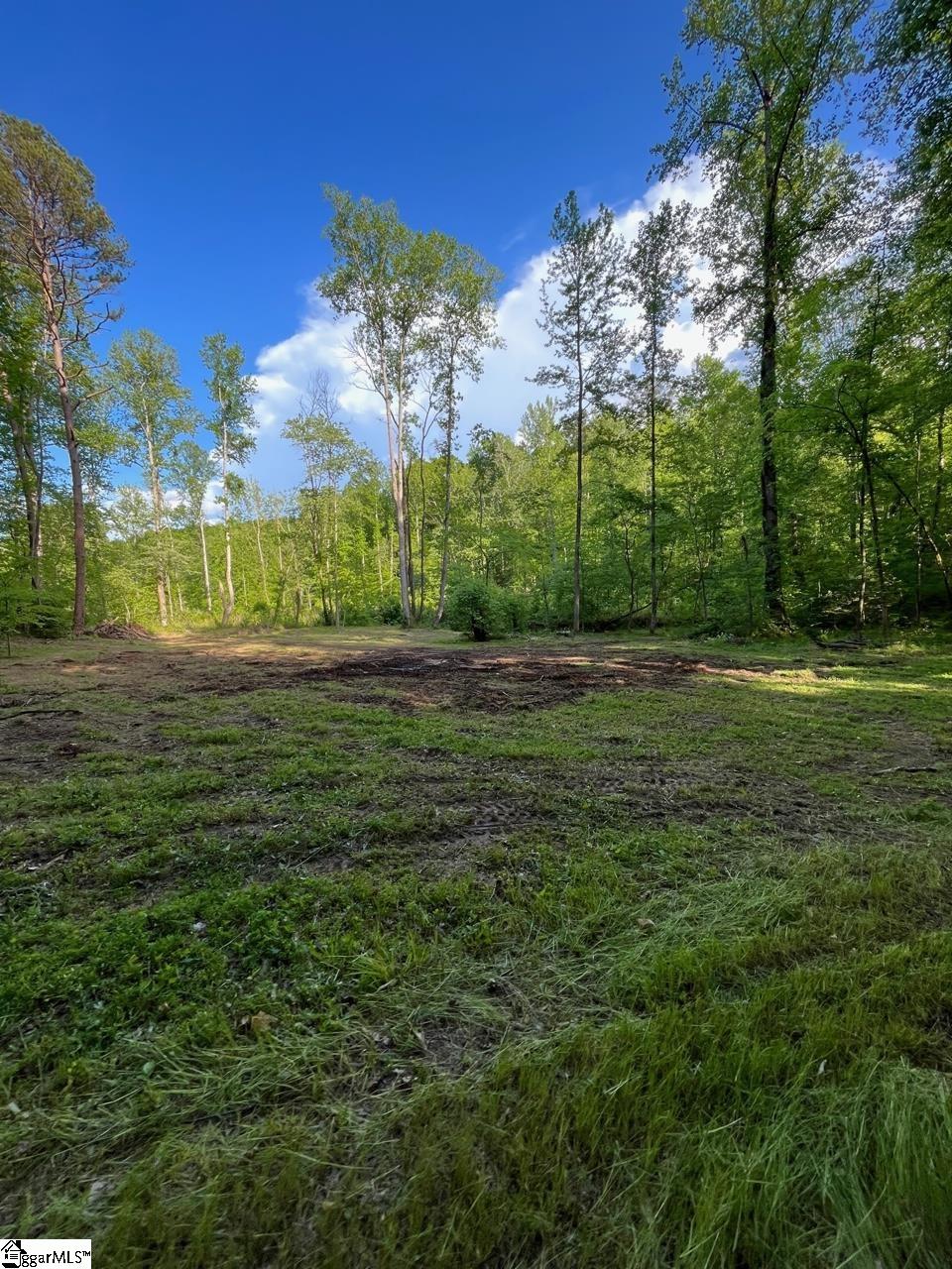 100 Stamey Valley Road Travelers Rest, SC 29690 - Photo 13 of 24