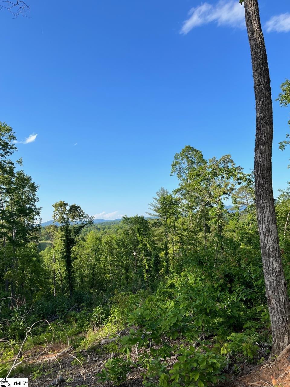 100 Stamey Valley Road Travelers Rest, SC 29690 - Photo 21 of 24