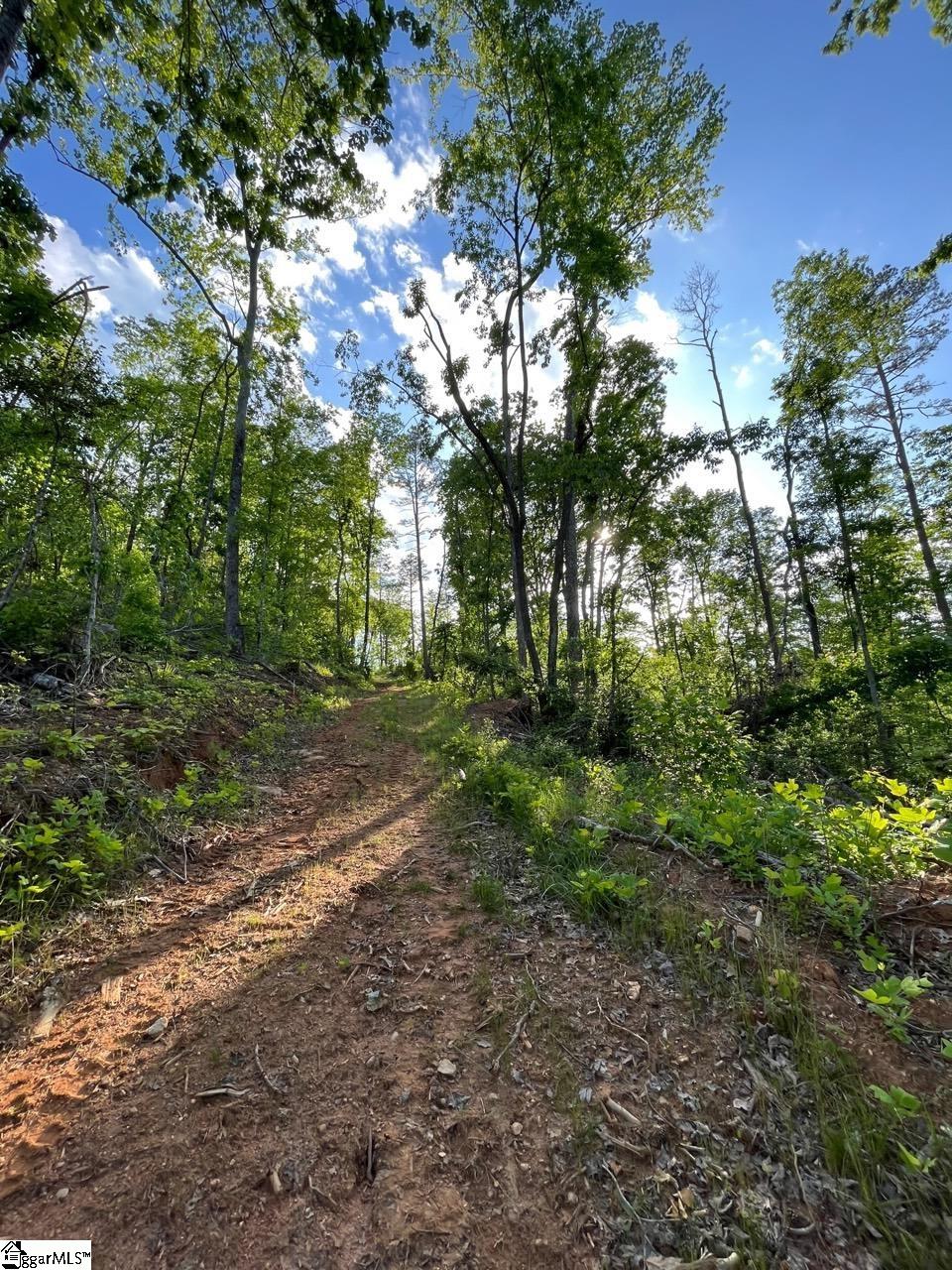 100 Stamey Valley Road Travelers Rest, SC 29690 - Photo 22 of 24