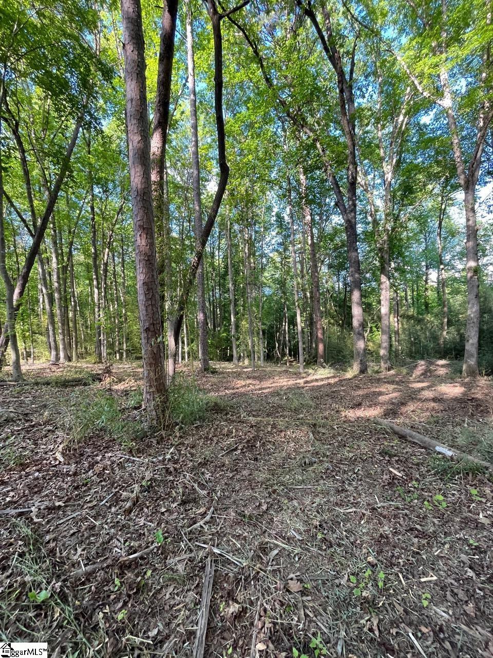 100 Stamey Valley Road Travelers Rest, SC 29690 - Photo 23 of 24