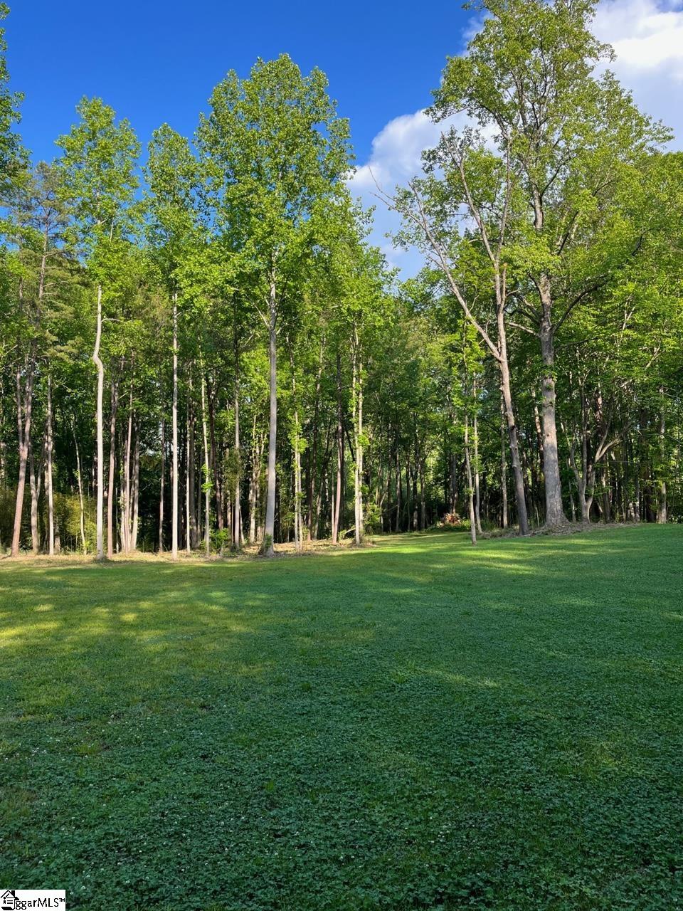 100 Stamey Valley Road Travelers Rest, SC 29690 - Photo 10 of 24