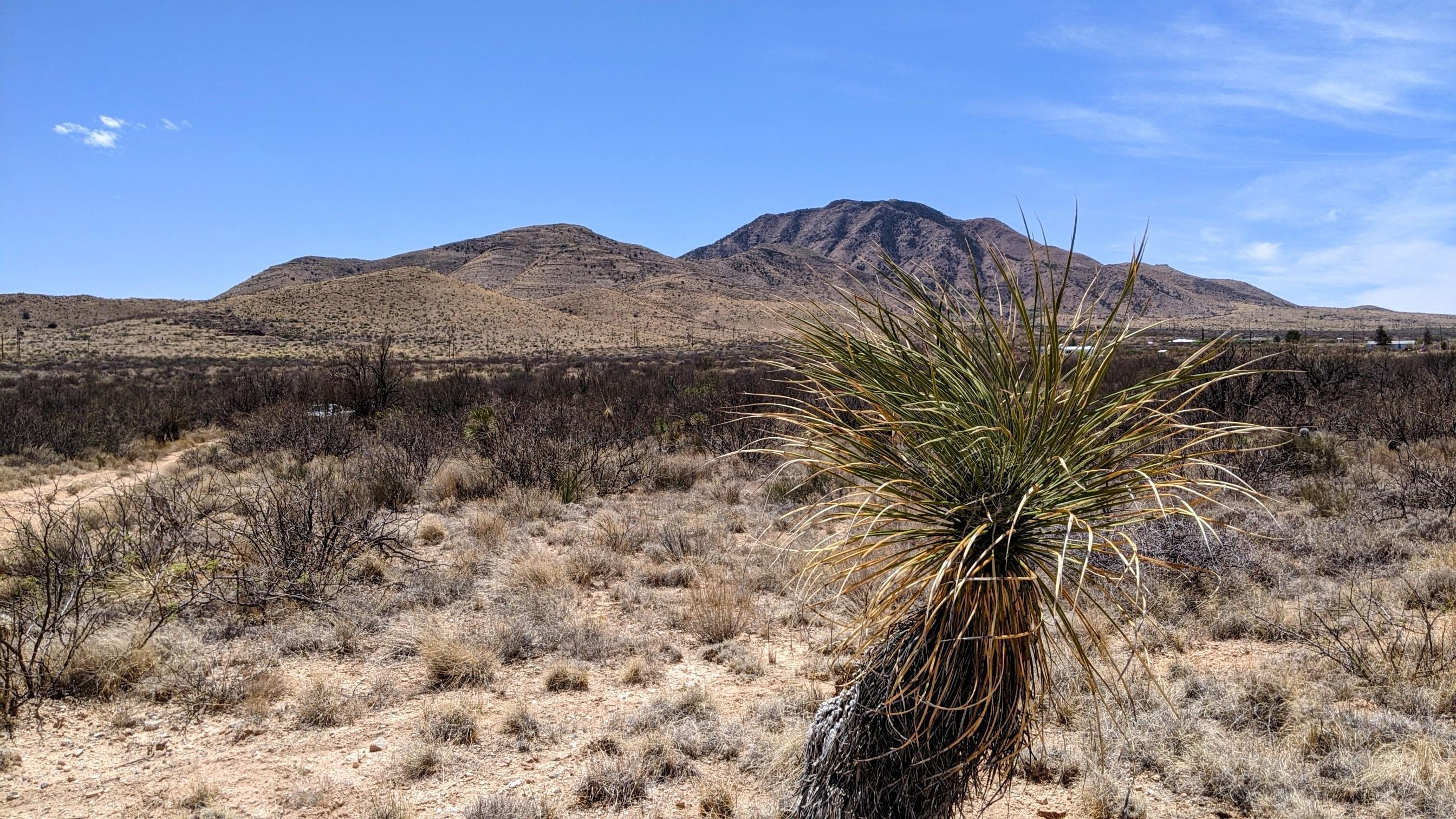 8 Acres On W Big Draw Road Cochise, AZ 85606 - Photo 7 of 18