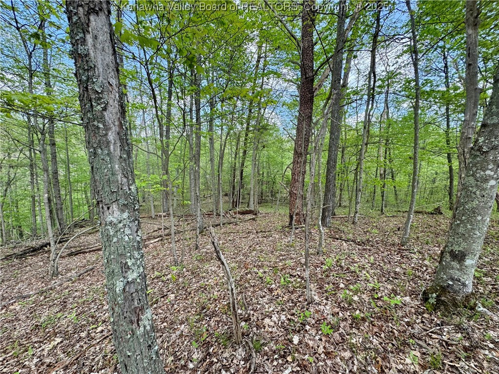 0 Sulug Road Leon, WV 25123 - Photo 16 of 18 Gallery Image 16