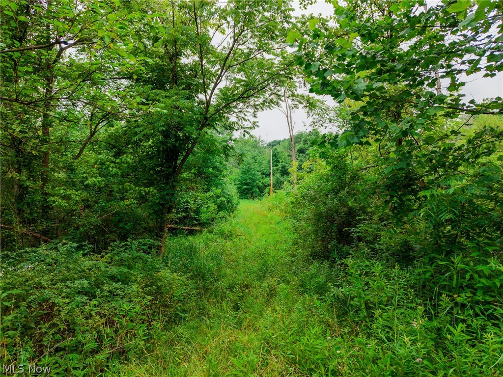 Byesville Road Cambridge, OH 43725 - Photo 25 of 31