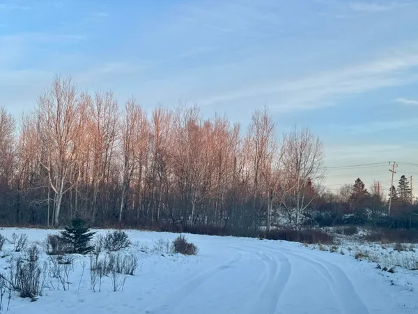 $42,000 | 119 County Road, Eastport, ME 04631