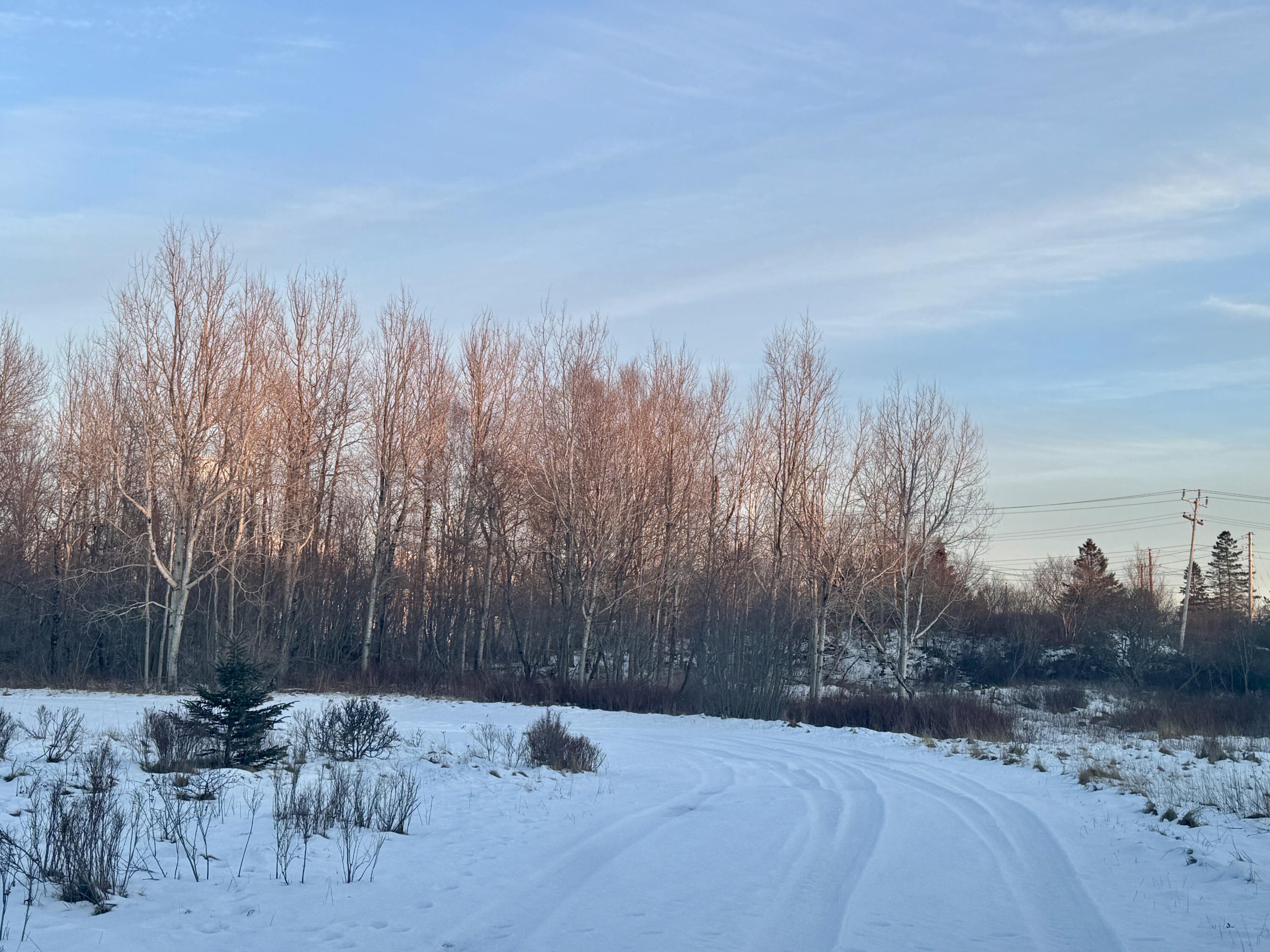 119 County Road Eastport, ME 04631 - Photo 4 of 15 IMG_3795 2