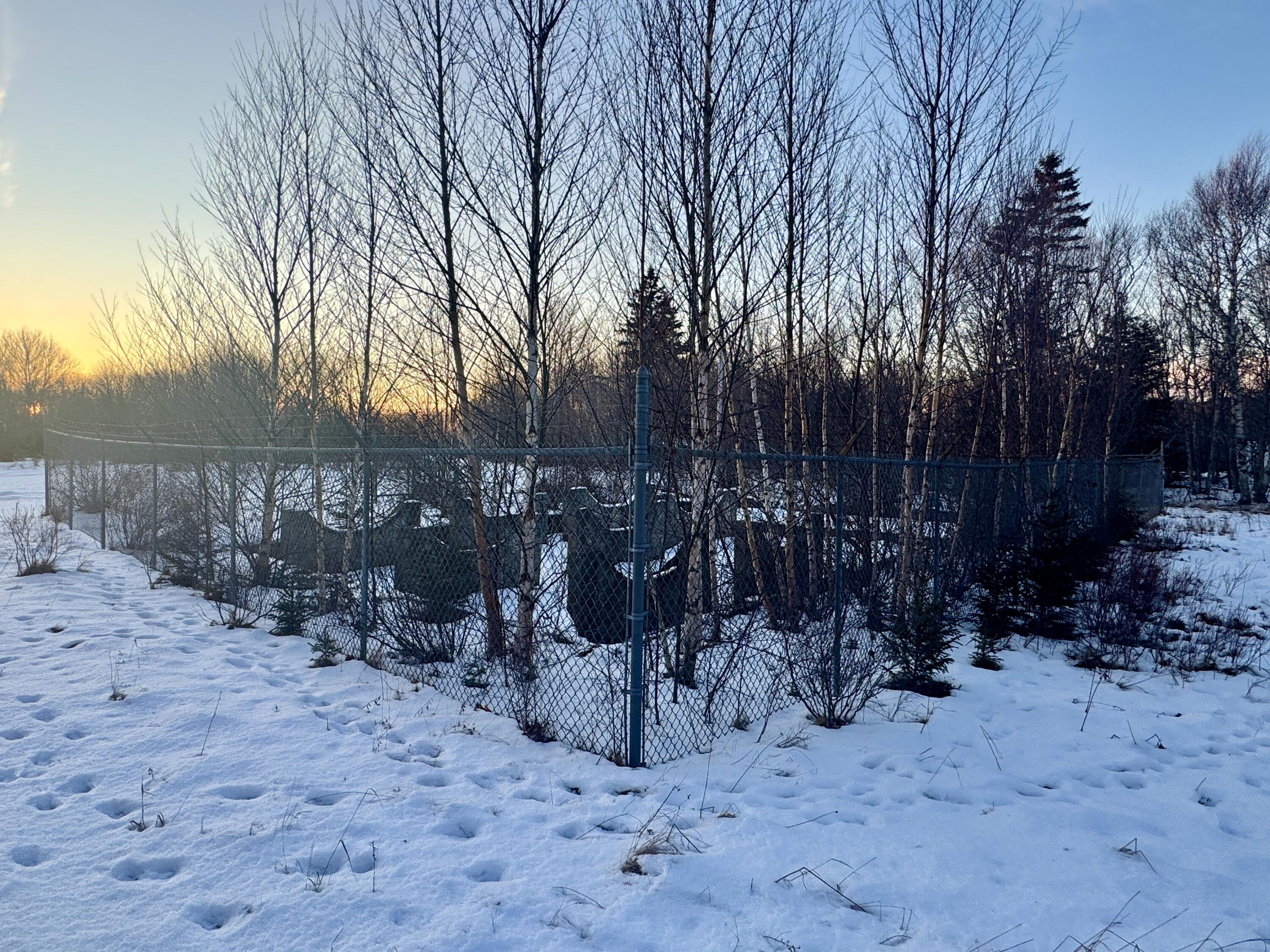 119 County Road Eastport, ME 04631 - Photo 9 of 15 IMG_3801