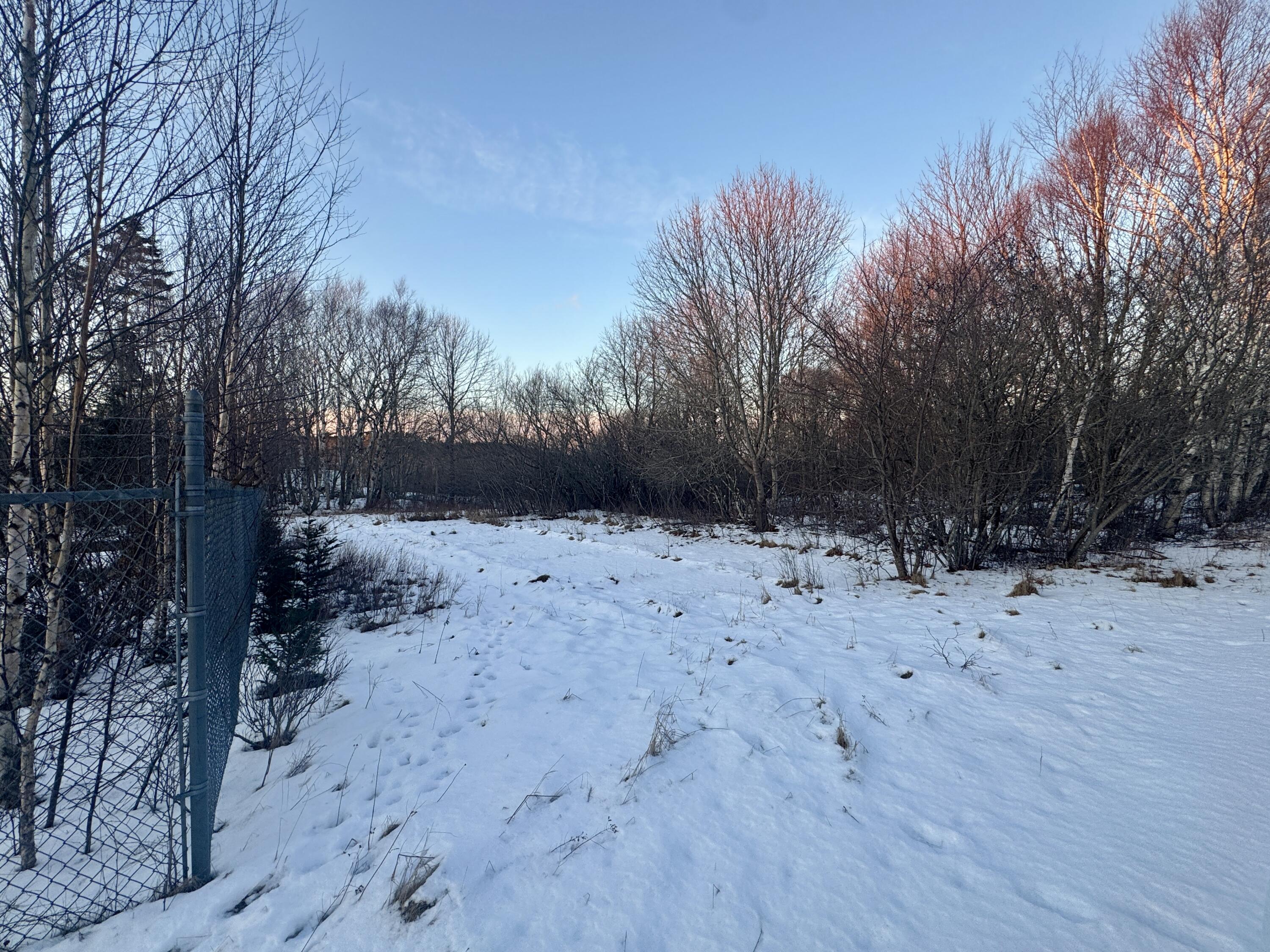 119 County Road Eastport, ME 04631 - Photo 10 of 15 IMG_3802 2