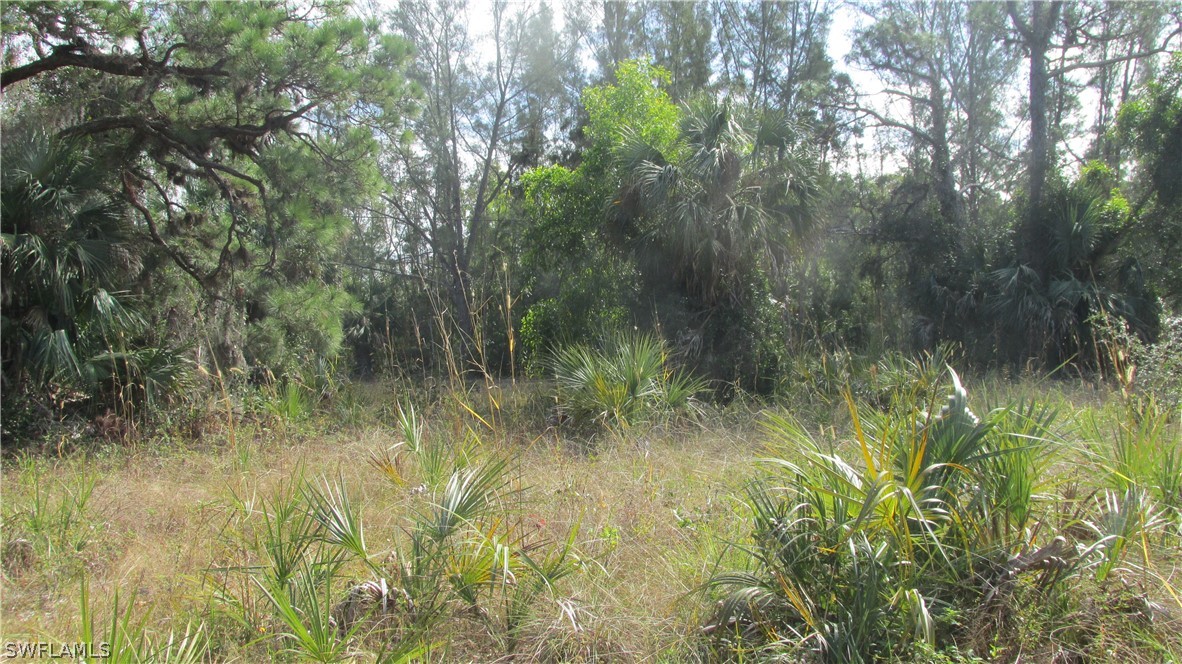 4200 Shellcrest Road St. James City, FL 33956 - Photo 8 of 12 Gallery Image 8
