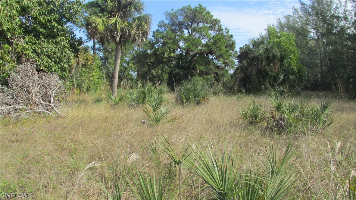 4200 Shellcrest Road St. James City, FL 33956 - Photo 10 of 12 Gallery Image 10