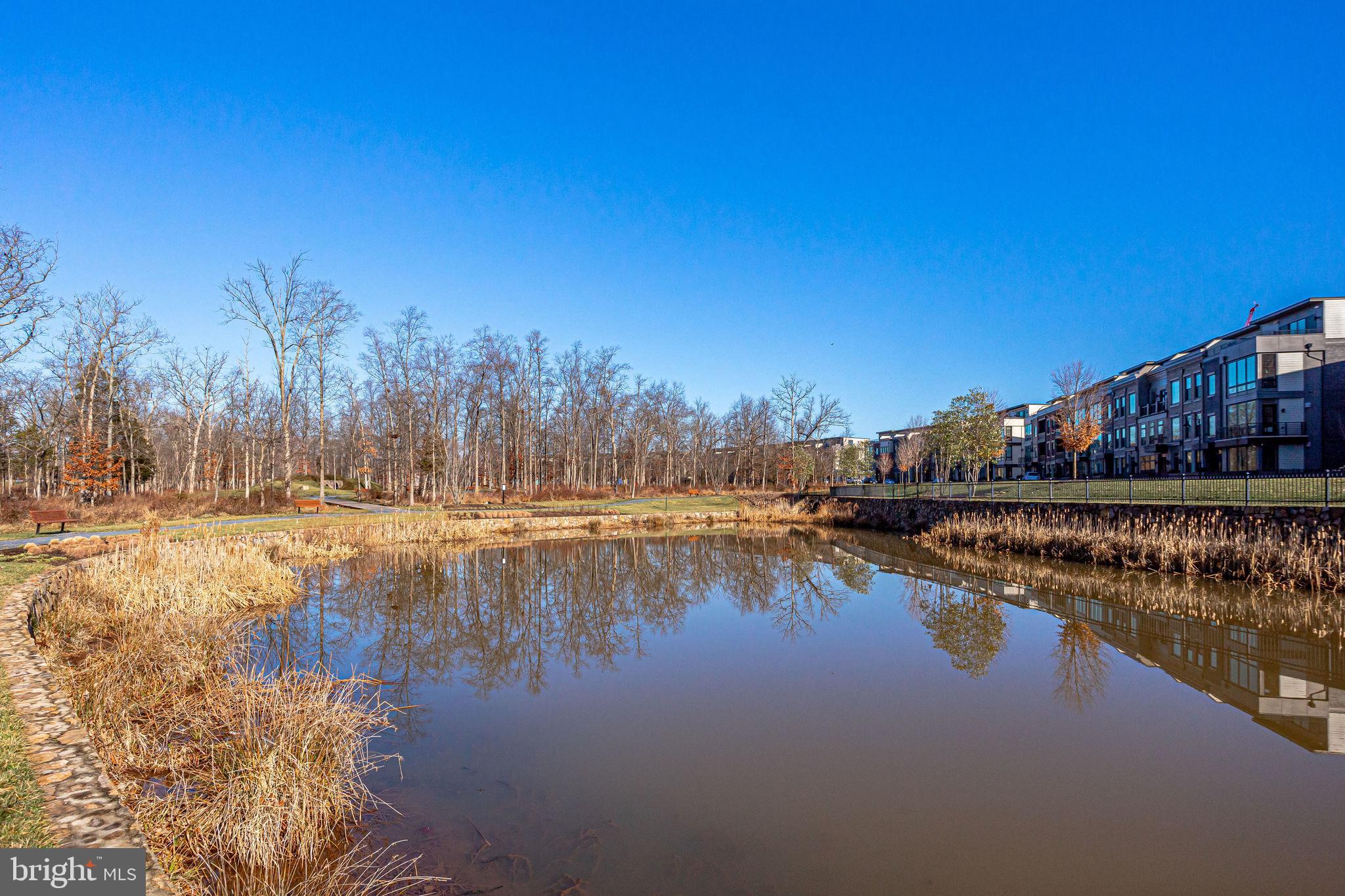 20405 Codman Drive Ashburn, VA 20147 - Photo 62 of 70