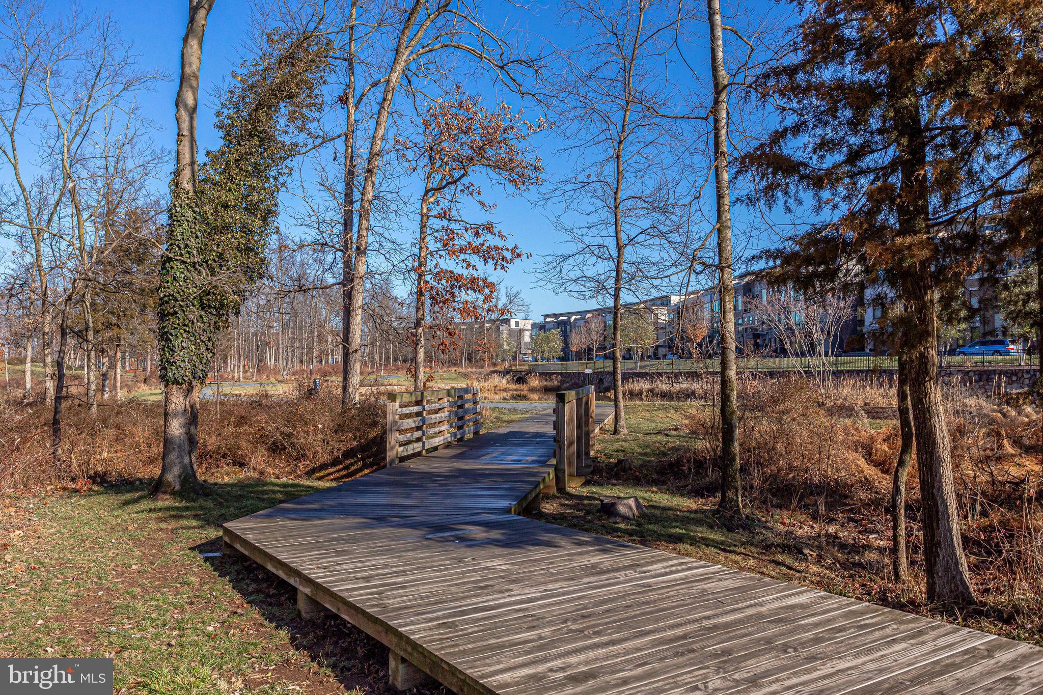 20405 Codman Drive Ashburn, VA 20147 - Photo 63 of 70